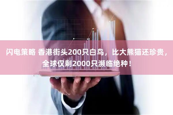 闪电策略 香港街头200只白鸟，比大熊猫还珍贵，全球仅剩2000只濒临绝种！