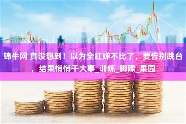 锦牛网 真没想到！以为全红婵不比了，要告别跳台，结果悄悄干大事_训练_脚踝_果园