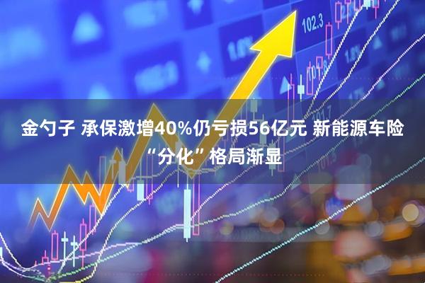 金勺子 承保激增40%仍亏损56亿元 新能源车险“分化”格局渐显