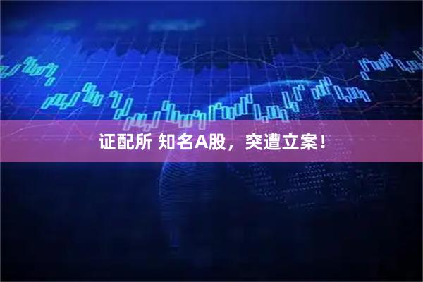 证配所 知名A股，突遭立案！