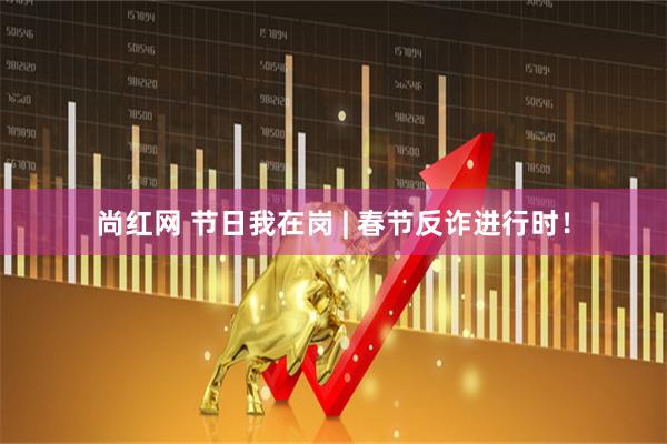 尚红网 节日我在岗 | 春节反诈进行时！